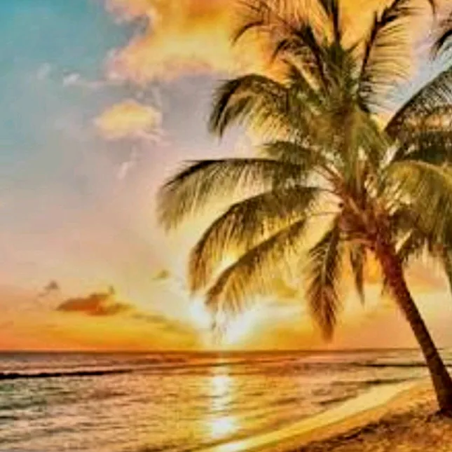 vacacleanerchronicles