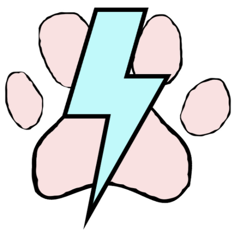 The Storm Chasing Veterinary Nurse