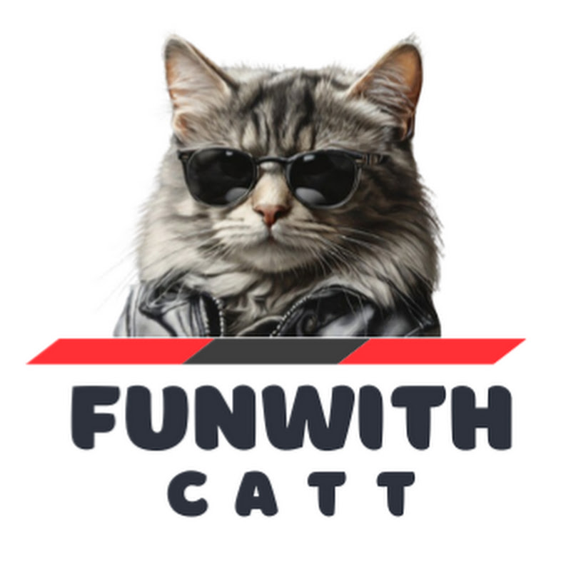 FunWITHcatt