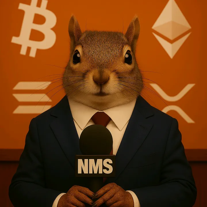 NotMoreScam