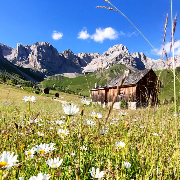 Montagna Estate