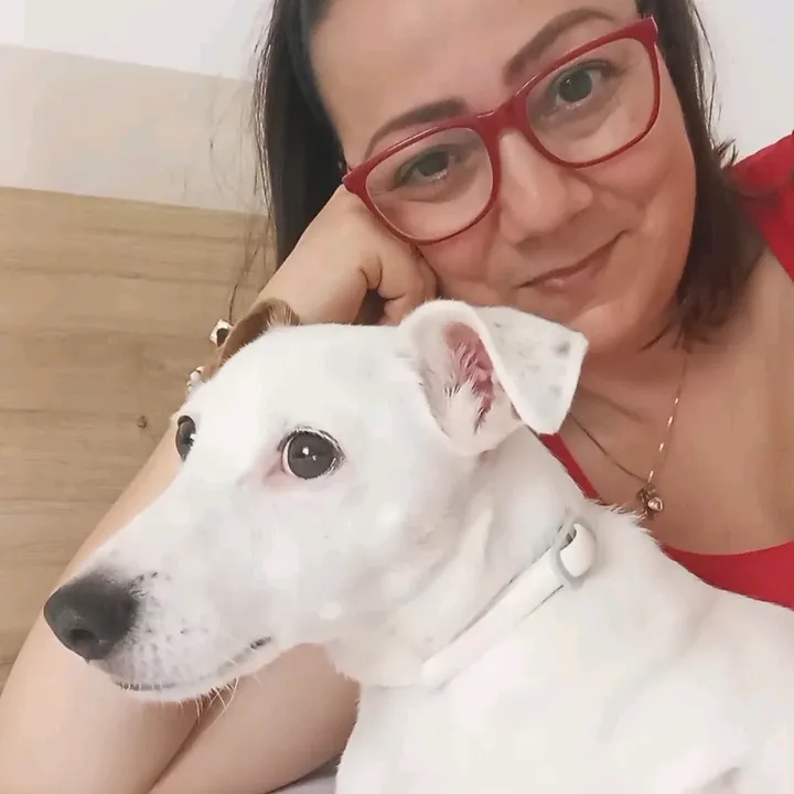 antoeisuoicanidivertenti