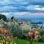 Fishermans Bay Garden