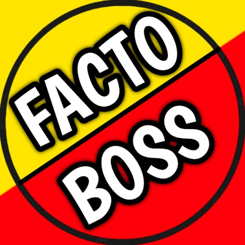 Facto Boss