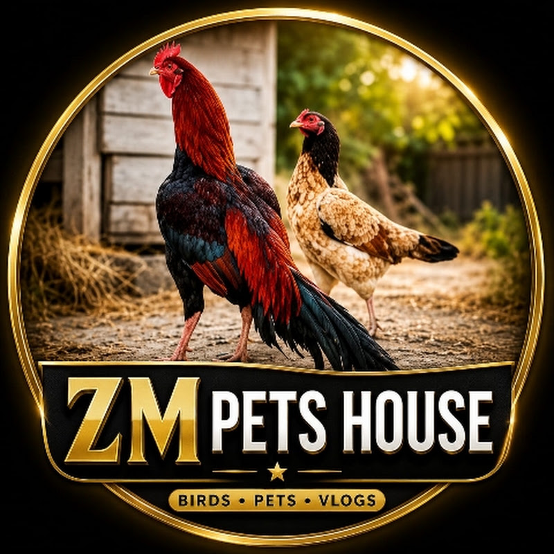ZM Pets House 