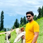 Tehseen Rehman