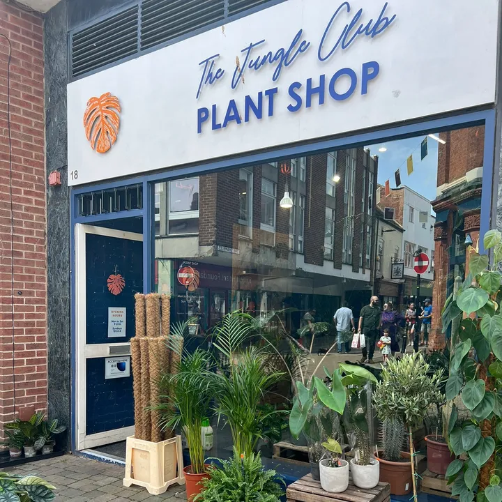 The Jungle Club