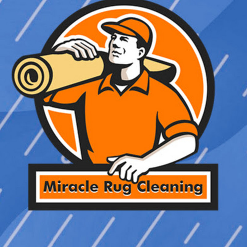 Miracl Rug Cleaning Shorts