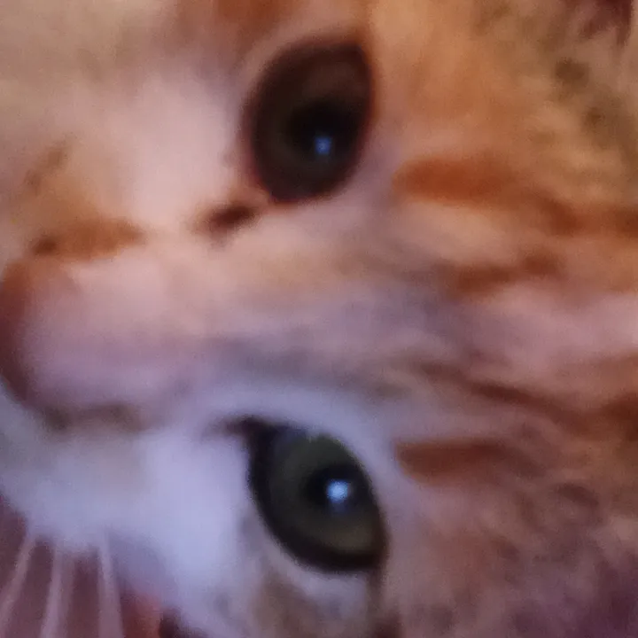 ⭐