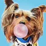 👑 𝙆𝙤𝙘𝙘𝙤 & 🎀 𝙂𝙞𝙜𝙞