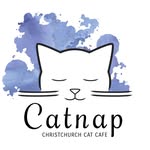 Catnap