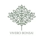 PLANTAS & DISEÑO DE JARDÍN 🌿