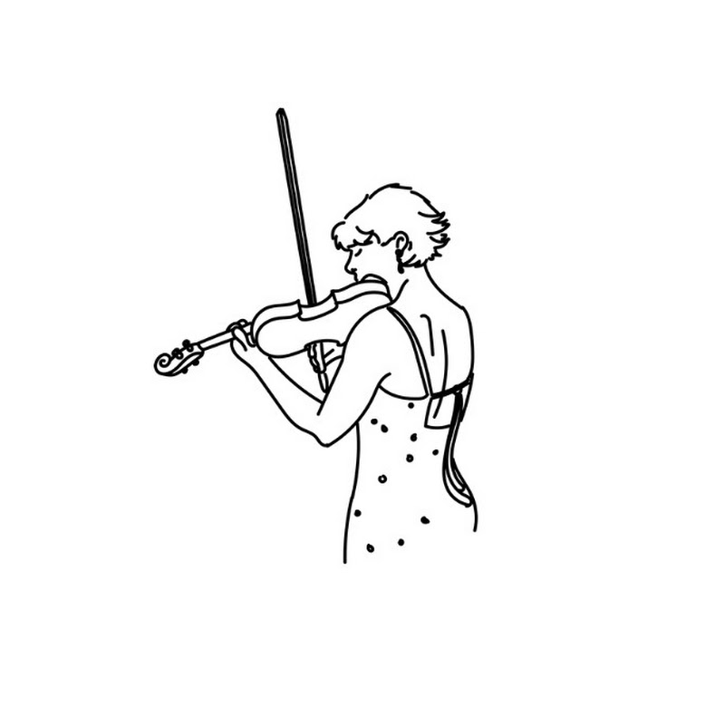 violin lovers