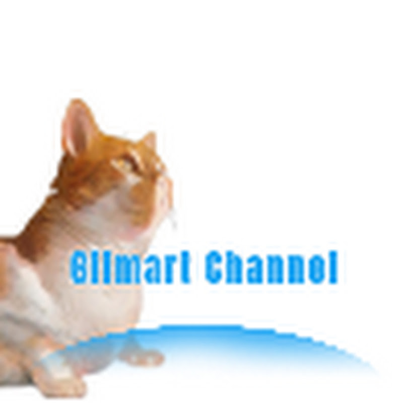 Gilmart Channel