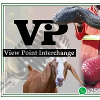 VIEWPOINT-0700 114 933
