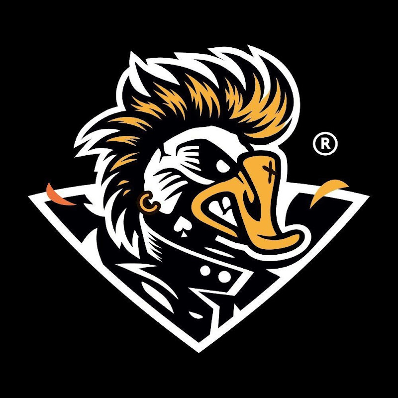 Golden Goose Network