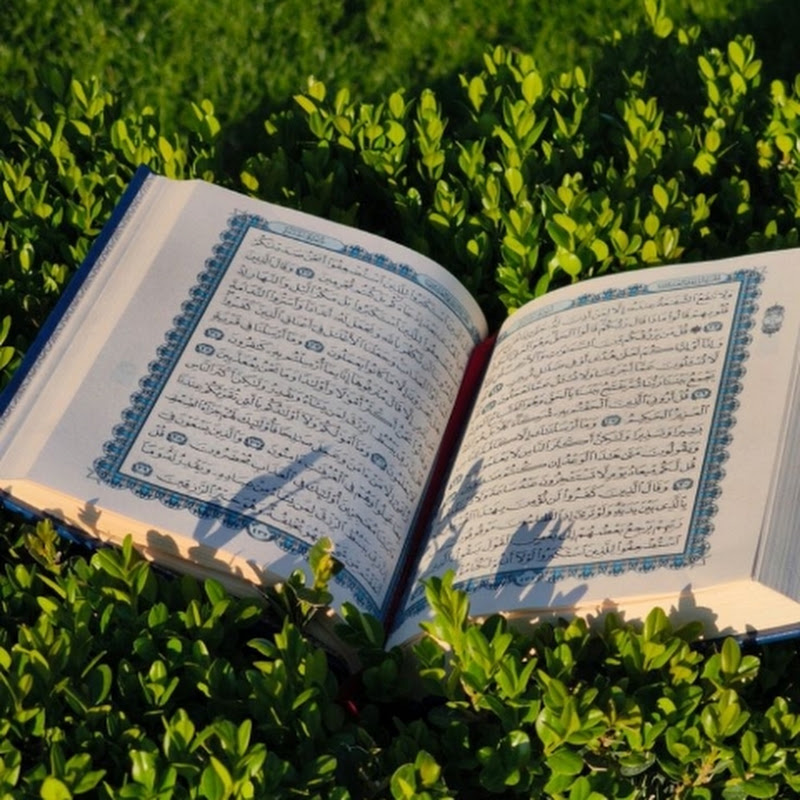 Mohammed&Qraan