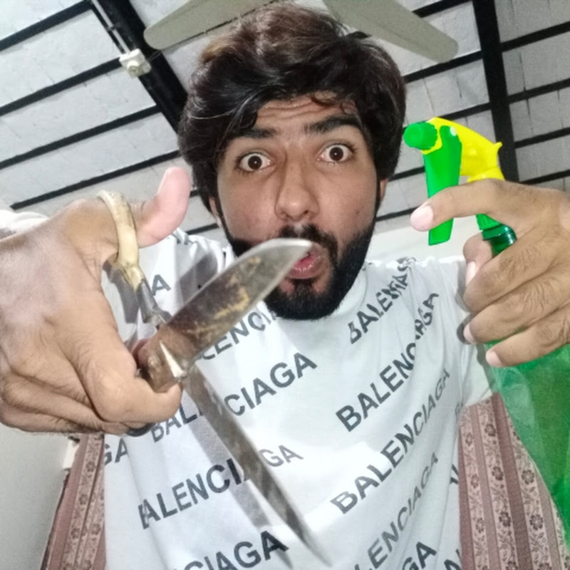 Shams ASMR 
