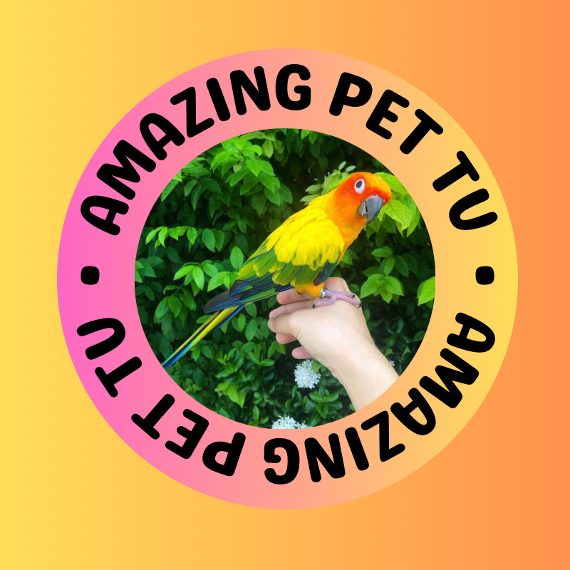 Amazing Pet TV