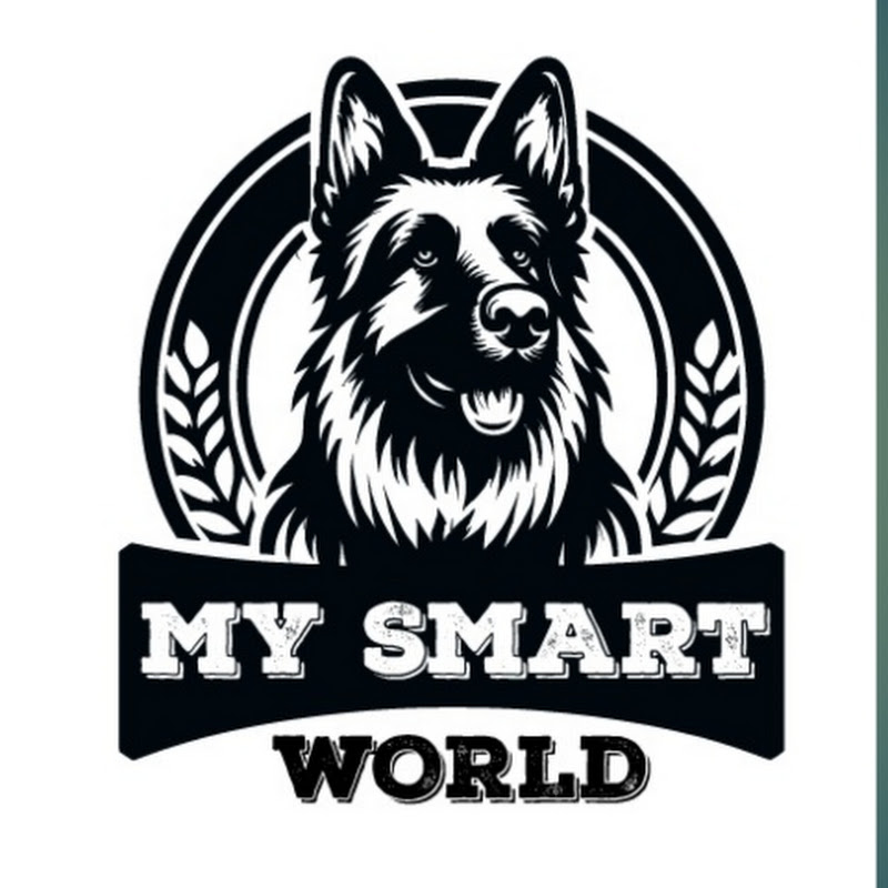My Smart World