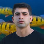 João Teixeira