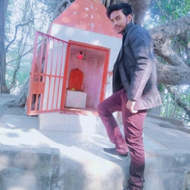 Thakur vlogs 96