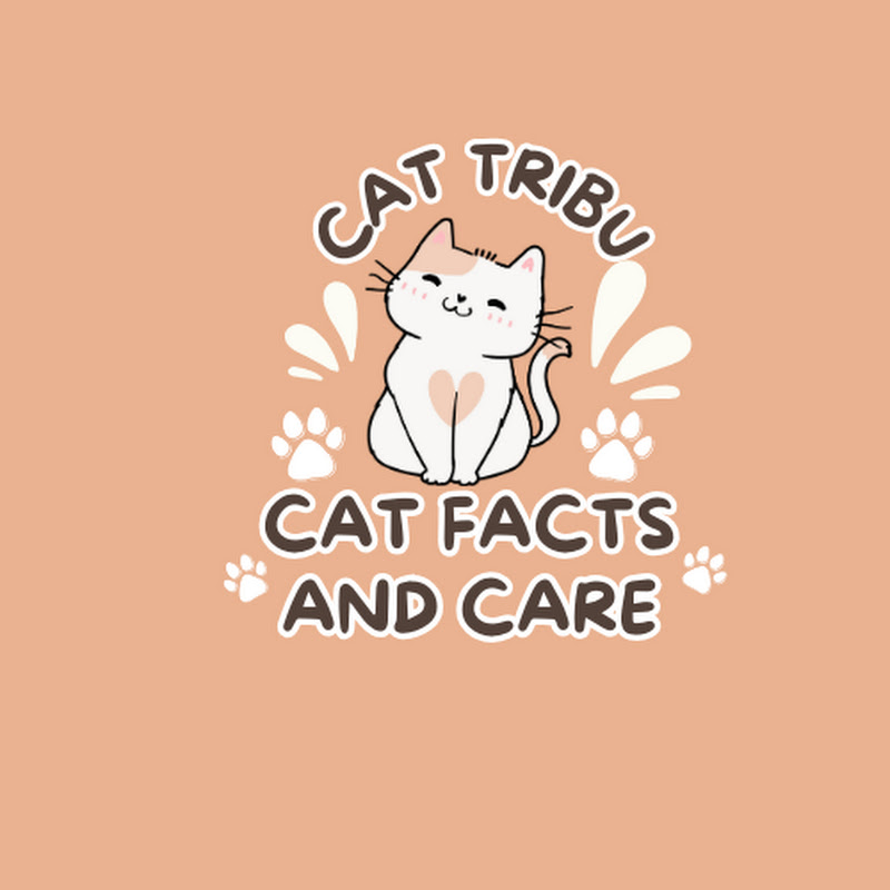 Cat Facts and Care