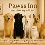 Pawssinn