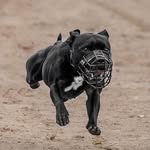 𝗟𝗗 𝗦𝗧𝗔𝗥𝗧𝗞𝗟𝗔𝗦𝗦 𝗥𝗟𝗗 𝗡 𝗥𝗟𝗗 𝗙 𝗥𝗼𝘅𝗶𝗲