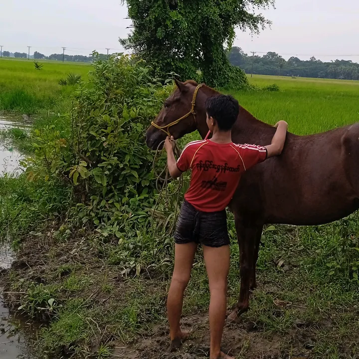 🇲🇲🇹🇭Mg Min Gyi Thar🔥🏇🏼