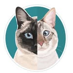 Mocca and Miso de Cascabel