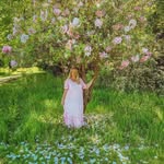 Fiona {Photography & Blogging}