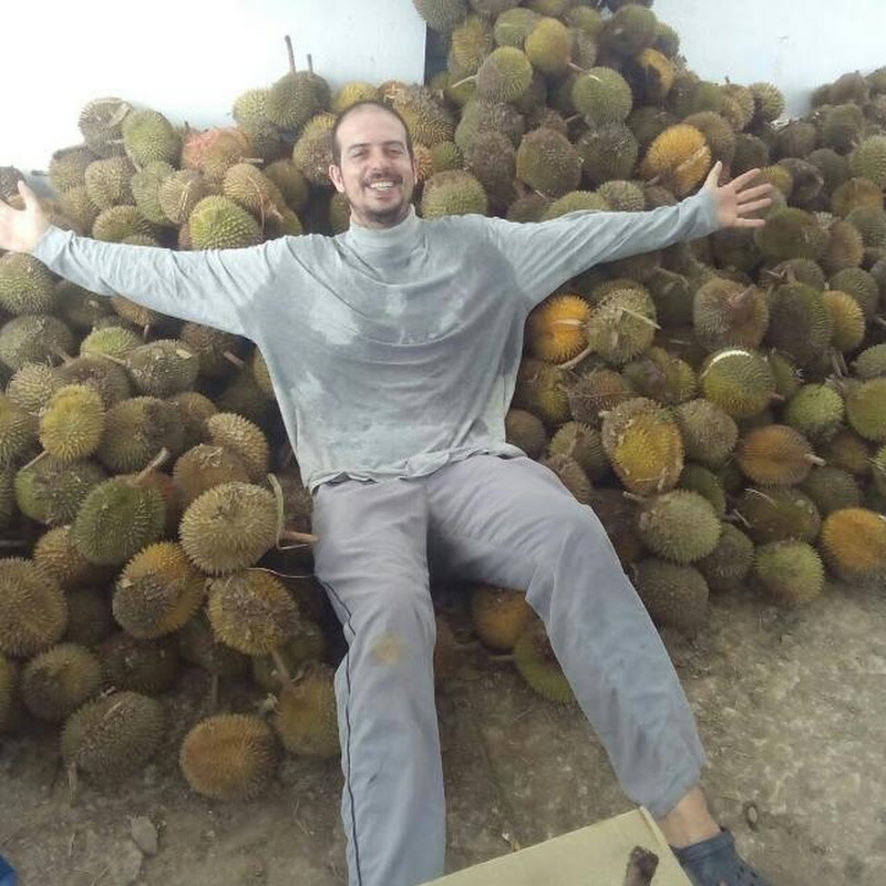 All the fruit