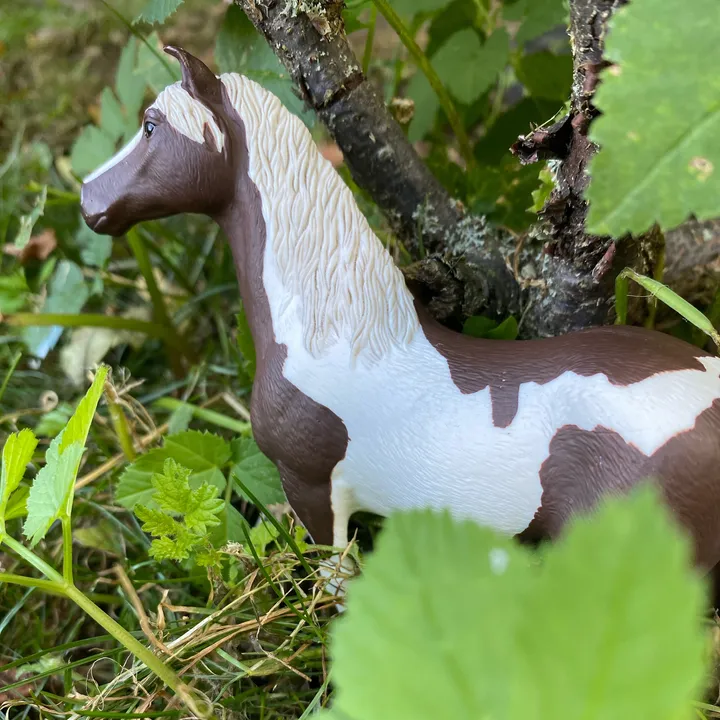 Schleich🐴