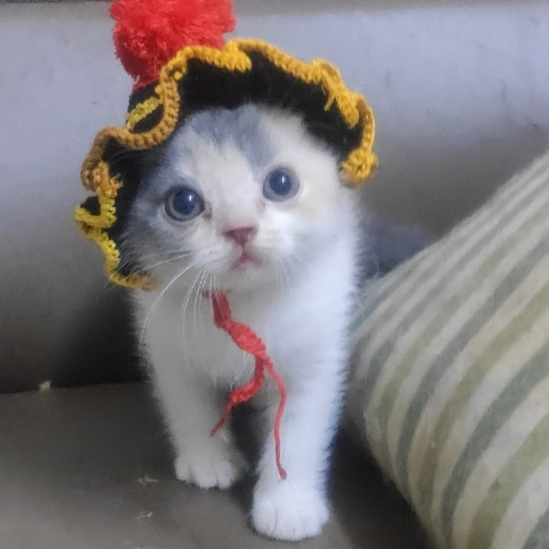 Kiko iko 