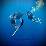 Cp•Ahmad Sofi 🐳 مدرب غوص
