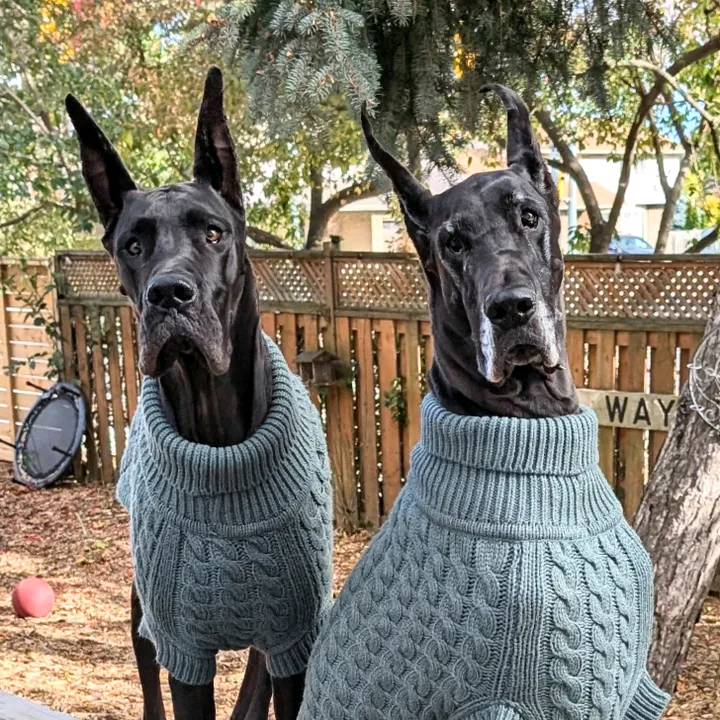 Helen Fratton-MacDonald