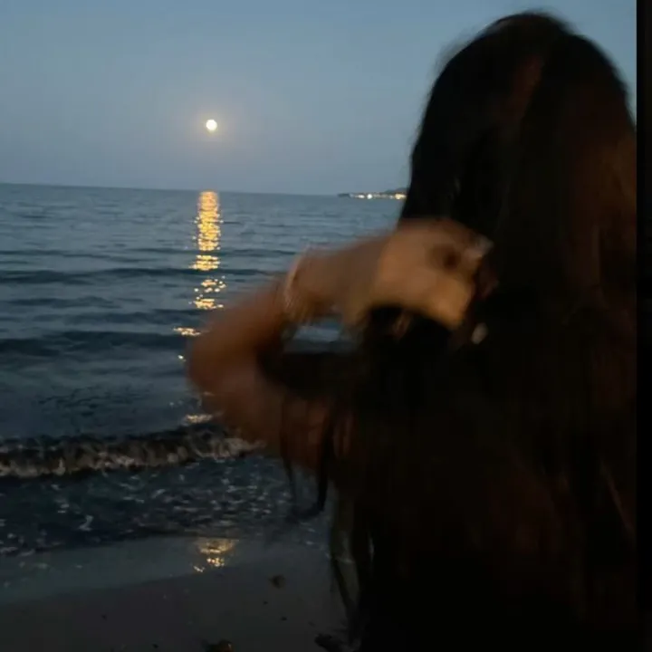 𝑳