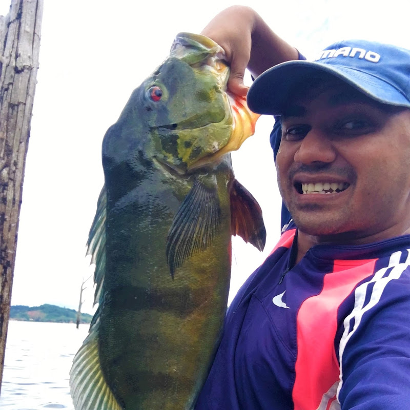 Arvi Fishing Adventures