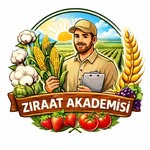 𝓩𝓘̇𝓡𝓐𝓐𝓣 𝓐𝓚𝓐𝓓𝓔𝓜𝓘̇𝓢𝓘̇