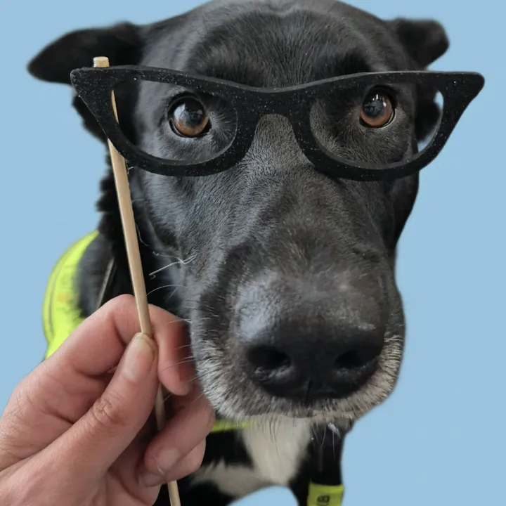 🇳🇱Esme🦜&❤️Hulphond Davi❤️🎗