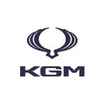 KGM Global