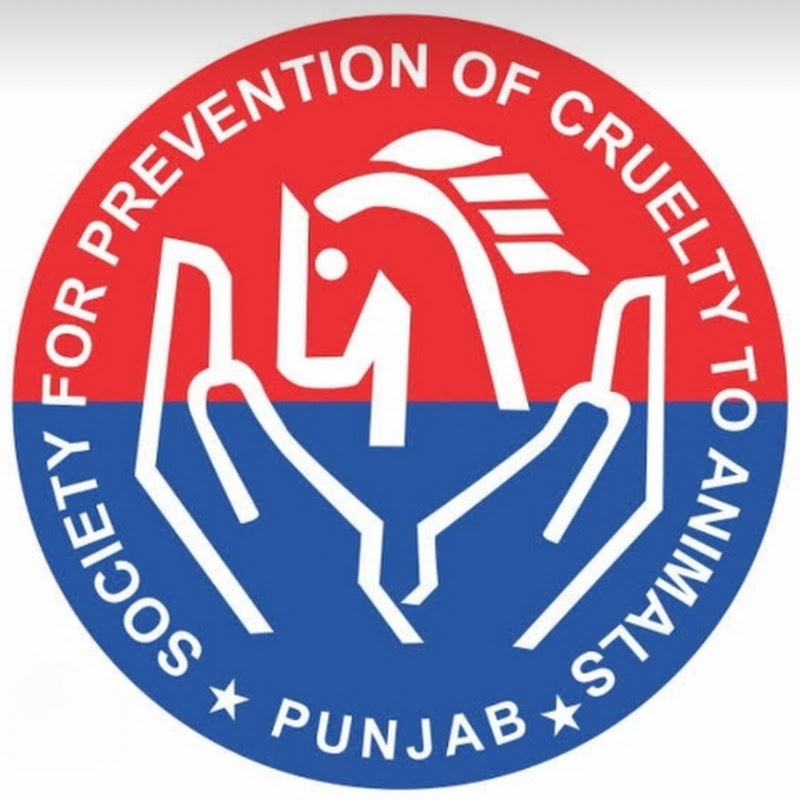 Inspector Usman Ashraf Gujjar 