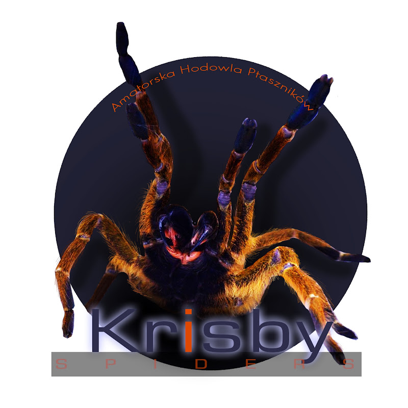 Krisby89