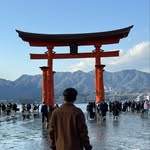 Wander in Japan 🇯🇵⛩️