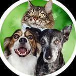 Mepe • Snoopy • Alfredo| Pet Influencer | UGC Pet