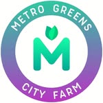 Metro Greens | Innovative Indoor Farm 🌱Manila🇵🇭