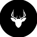 maxilla | マキシラ