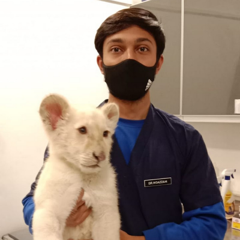 Vet Moazzam