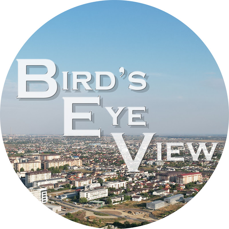A Bird's Eye View